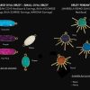 druzy color chart
