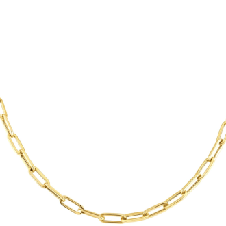 Gold waterproof chain necklace.